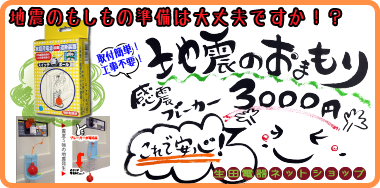 感震ブレーカー(スイッチ断ボール II)